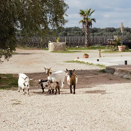 Monteciminiello Κατάλυμα σε φάρμα